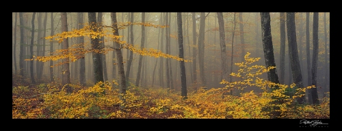 autumn panorama blog